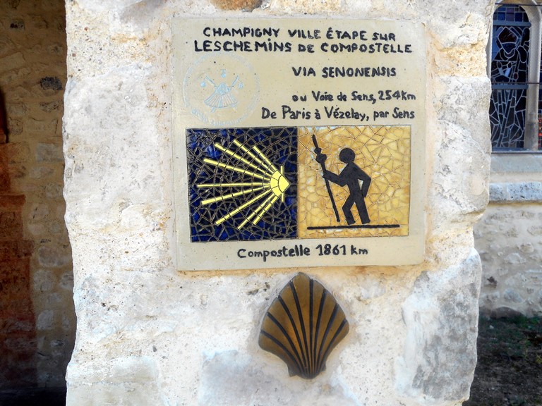 Champ 05