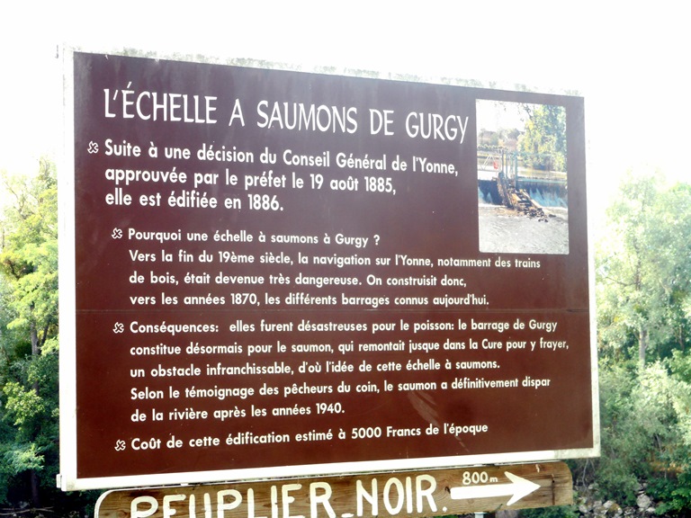 Gurgy 35