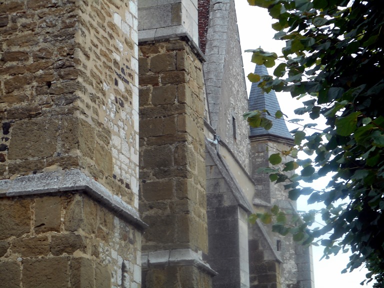 Seig 05