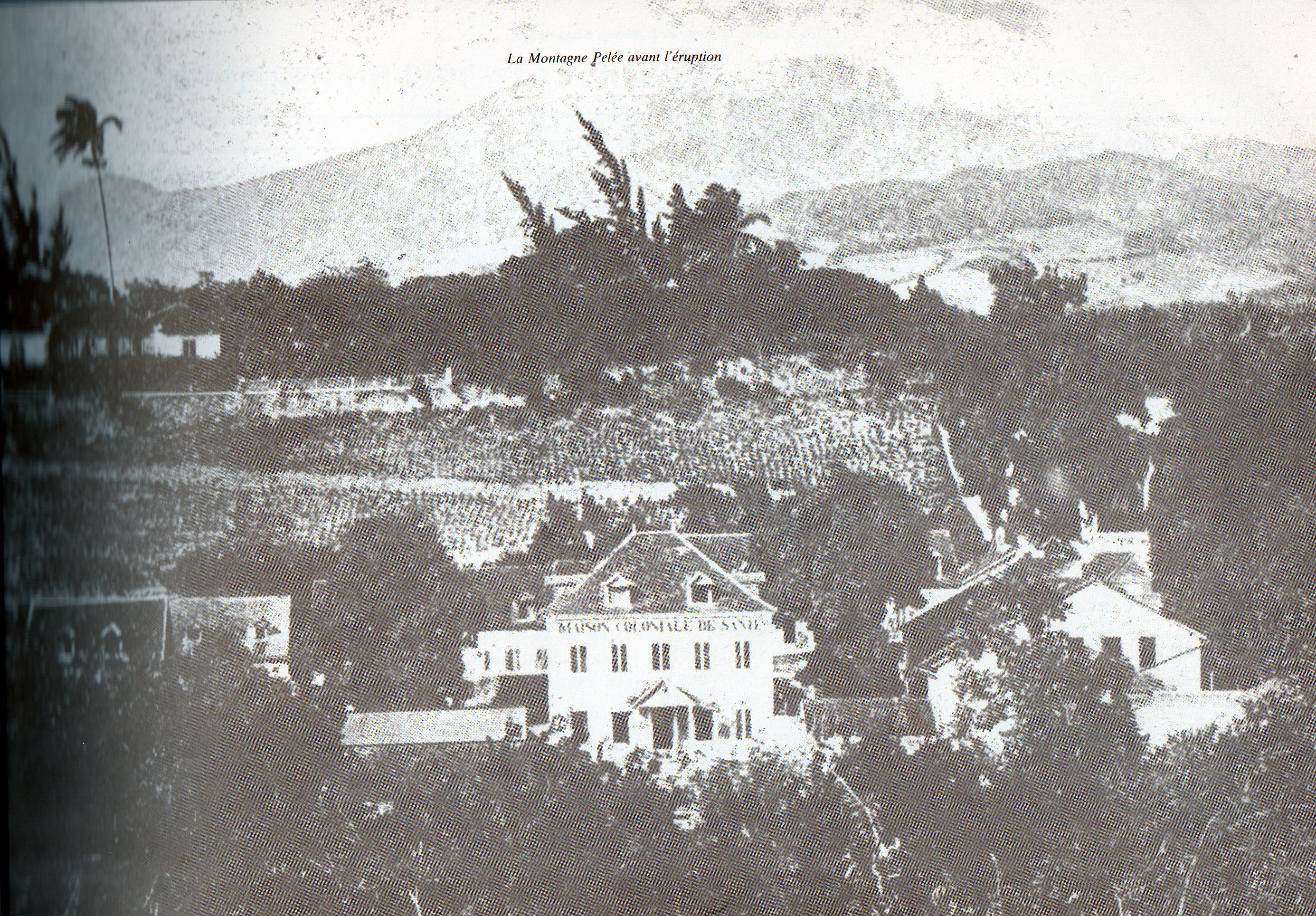 st 011