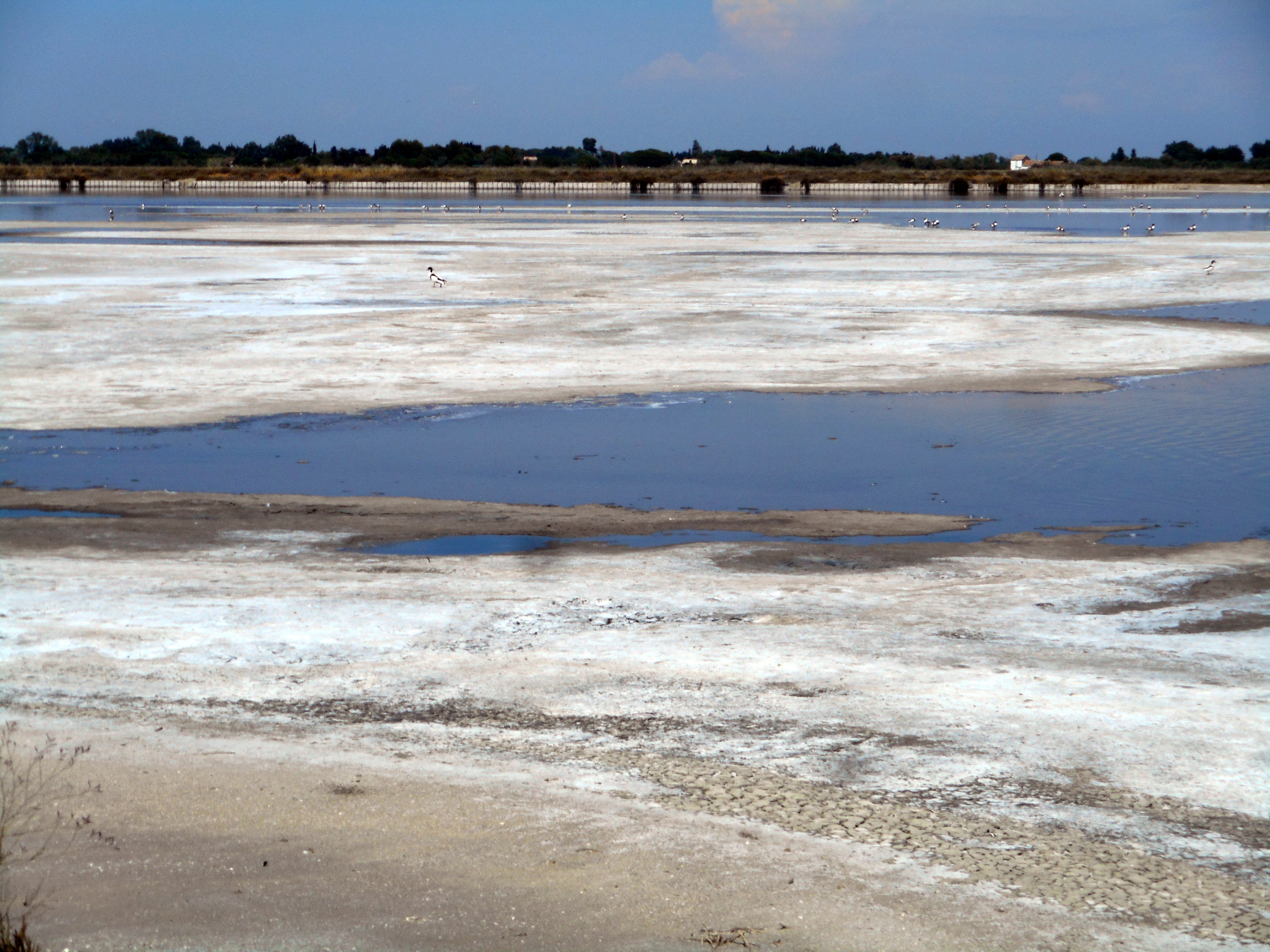 salins 03