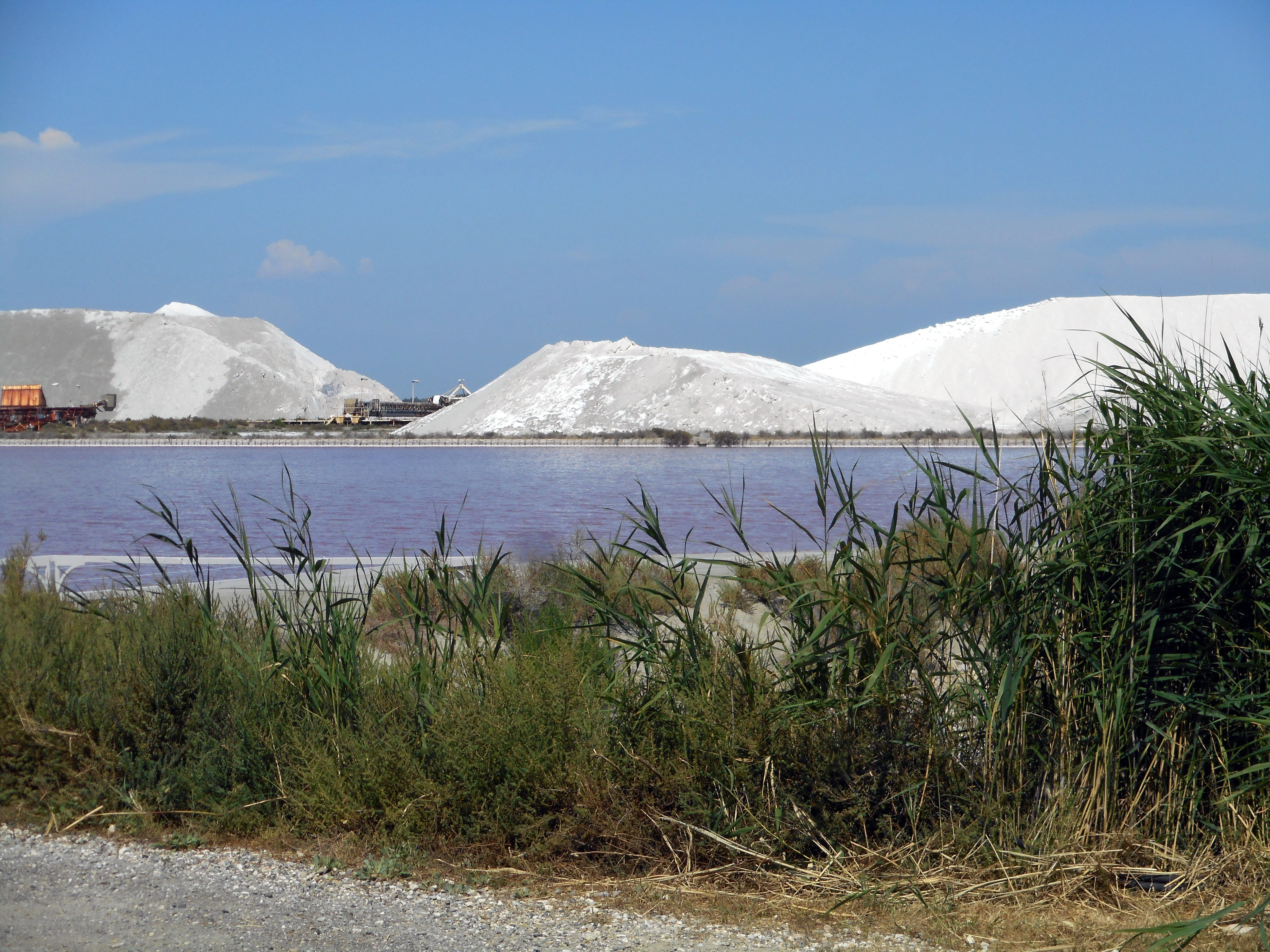 salins 04