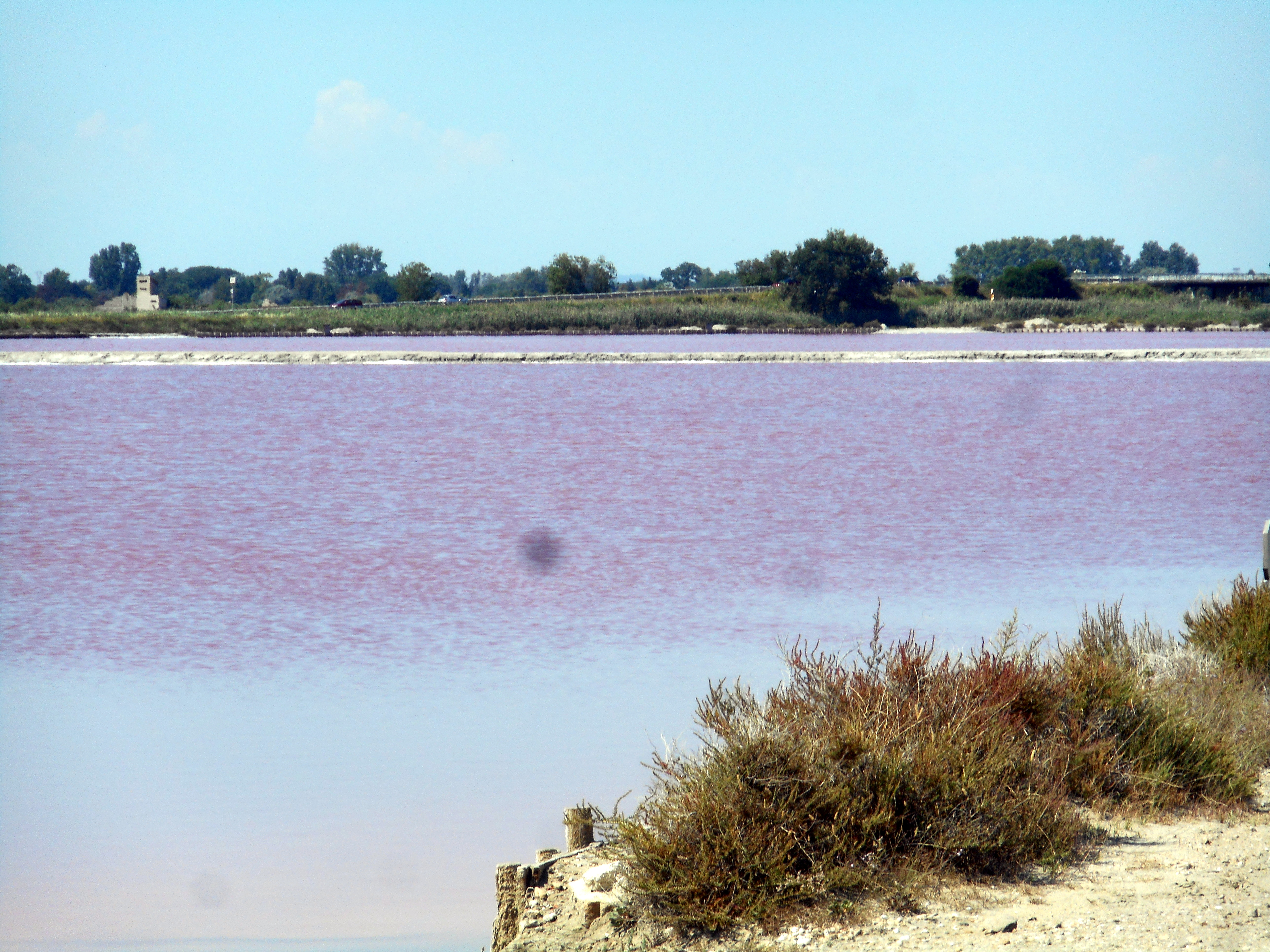 salins 06