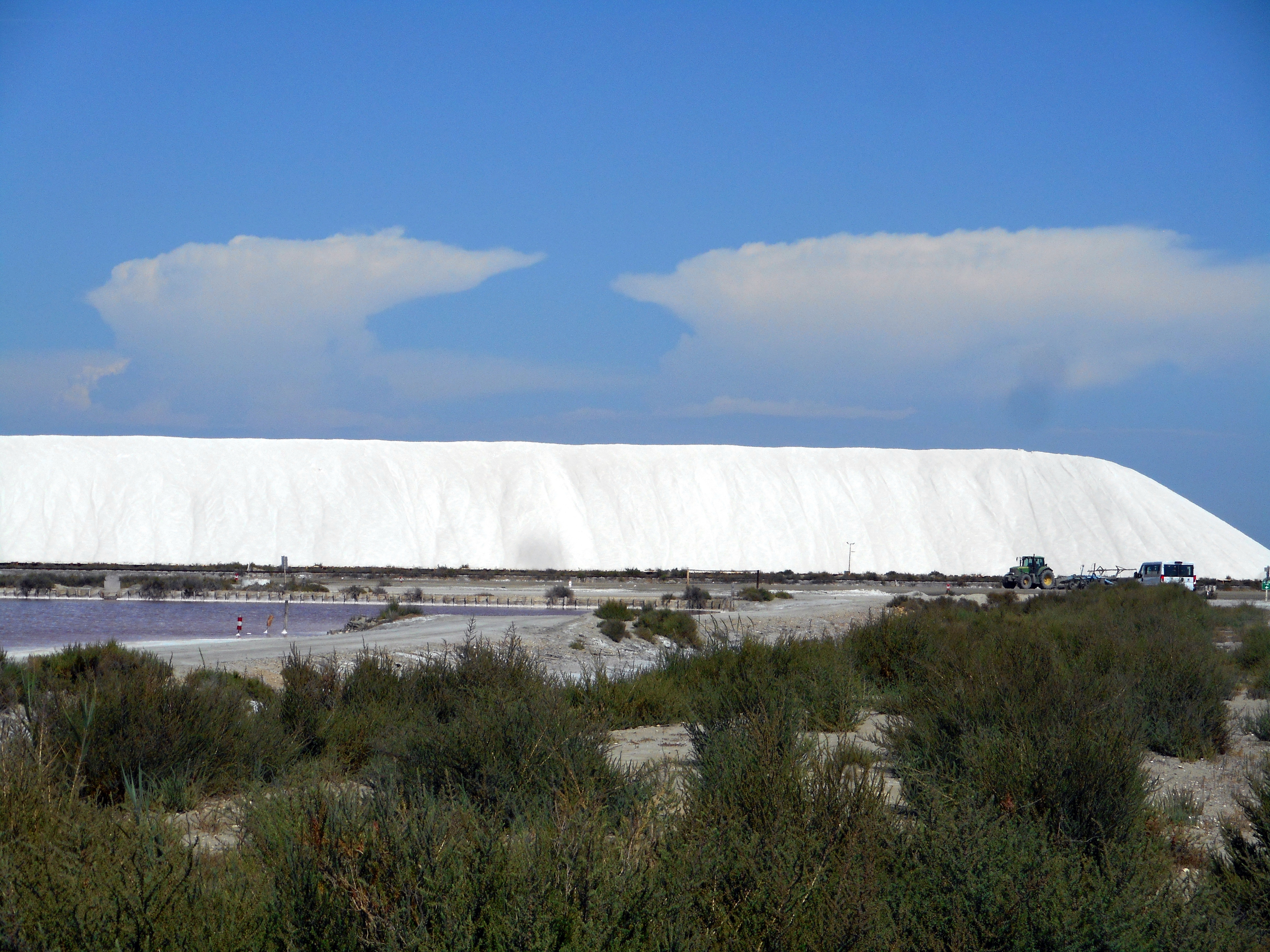 salins 08