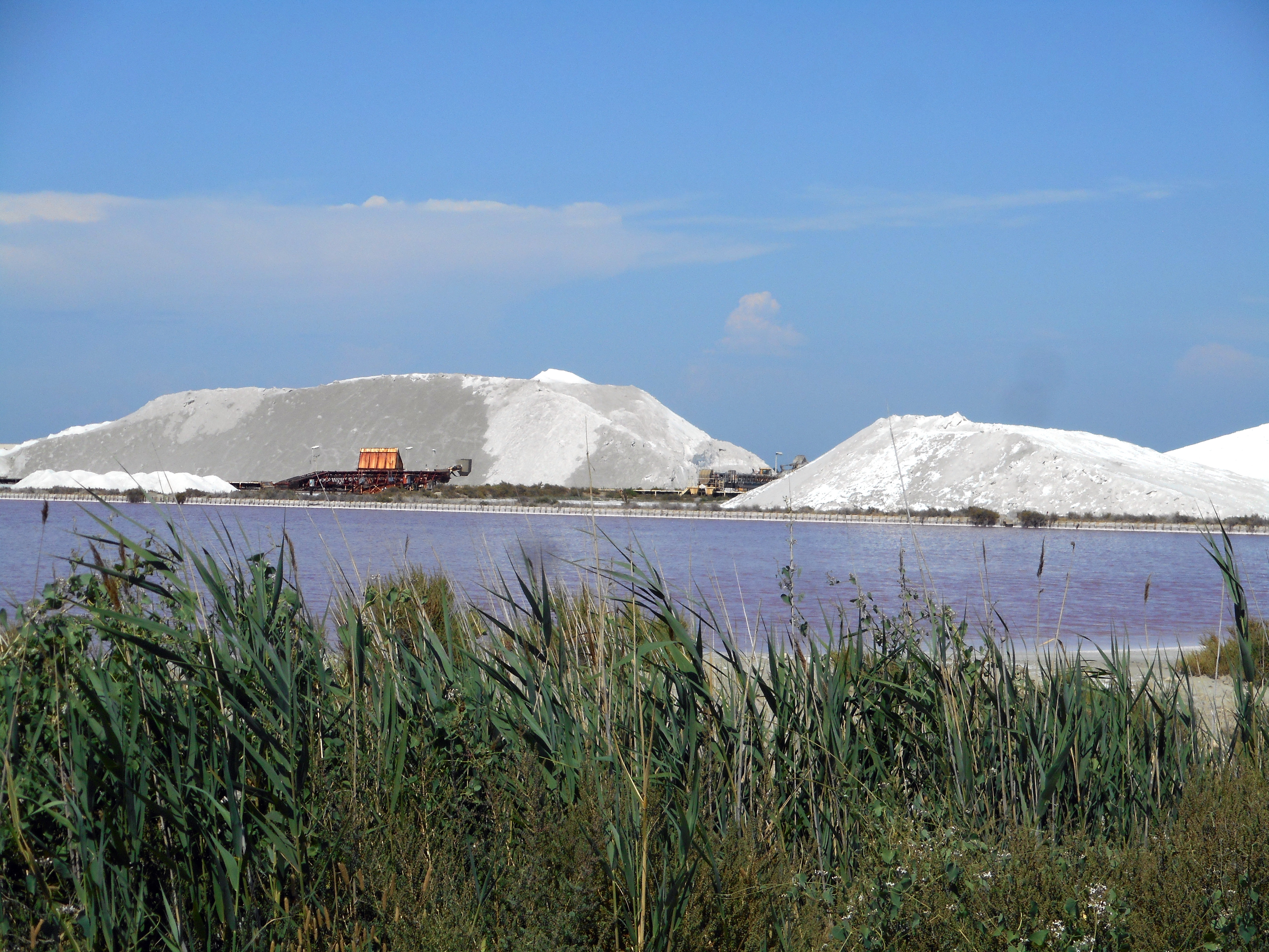 salins 09