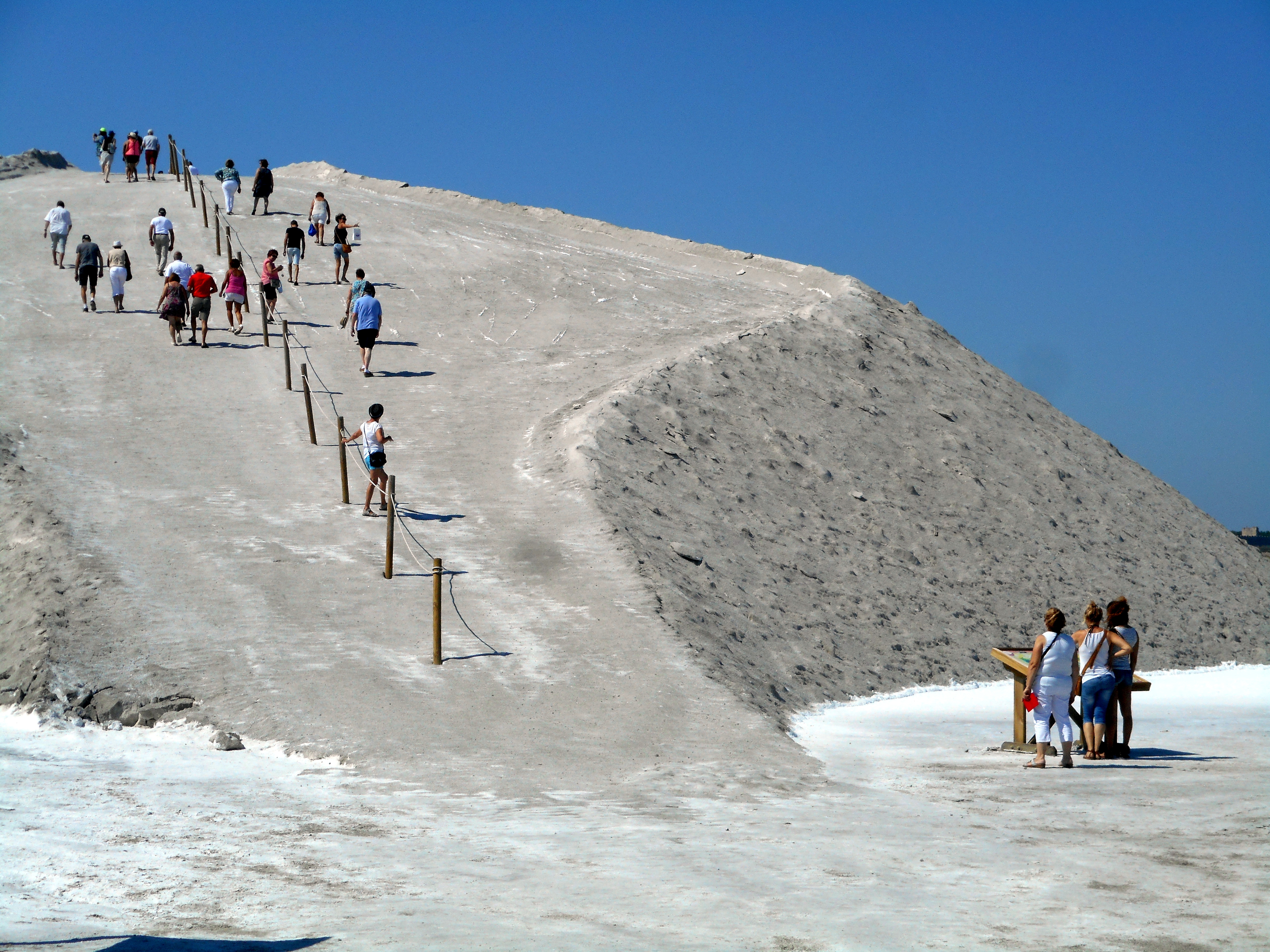 salins 11