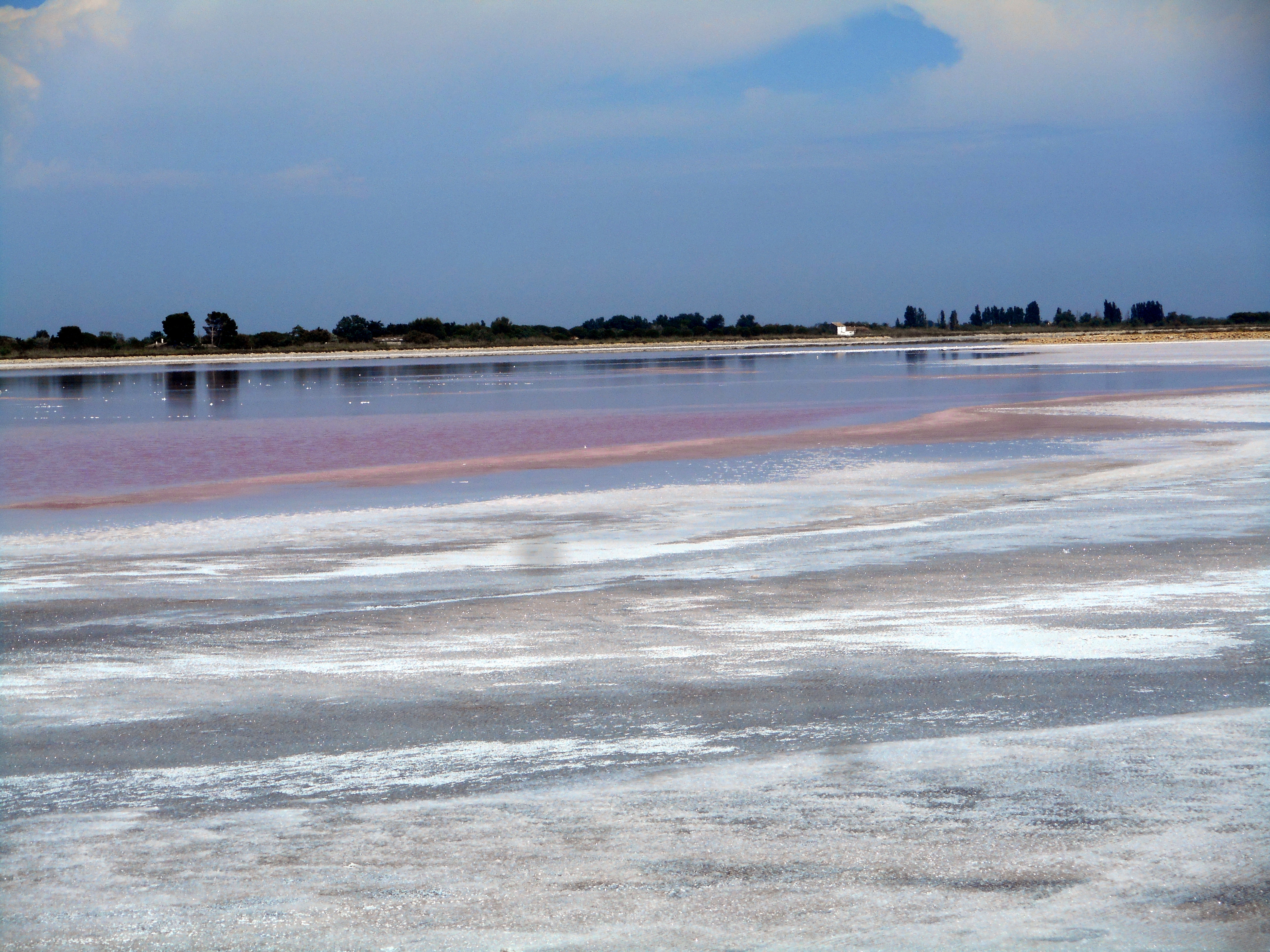 salins 14